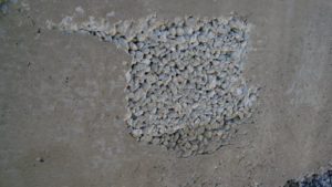 Honeycombs In Concrete - Structural Guide