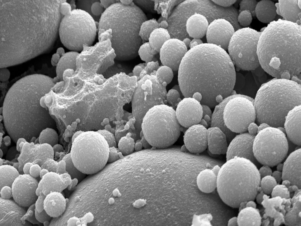 fly ash particles