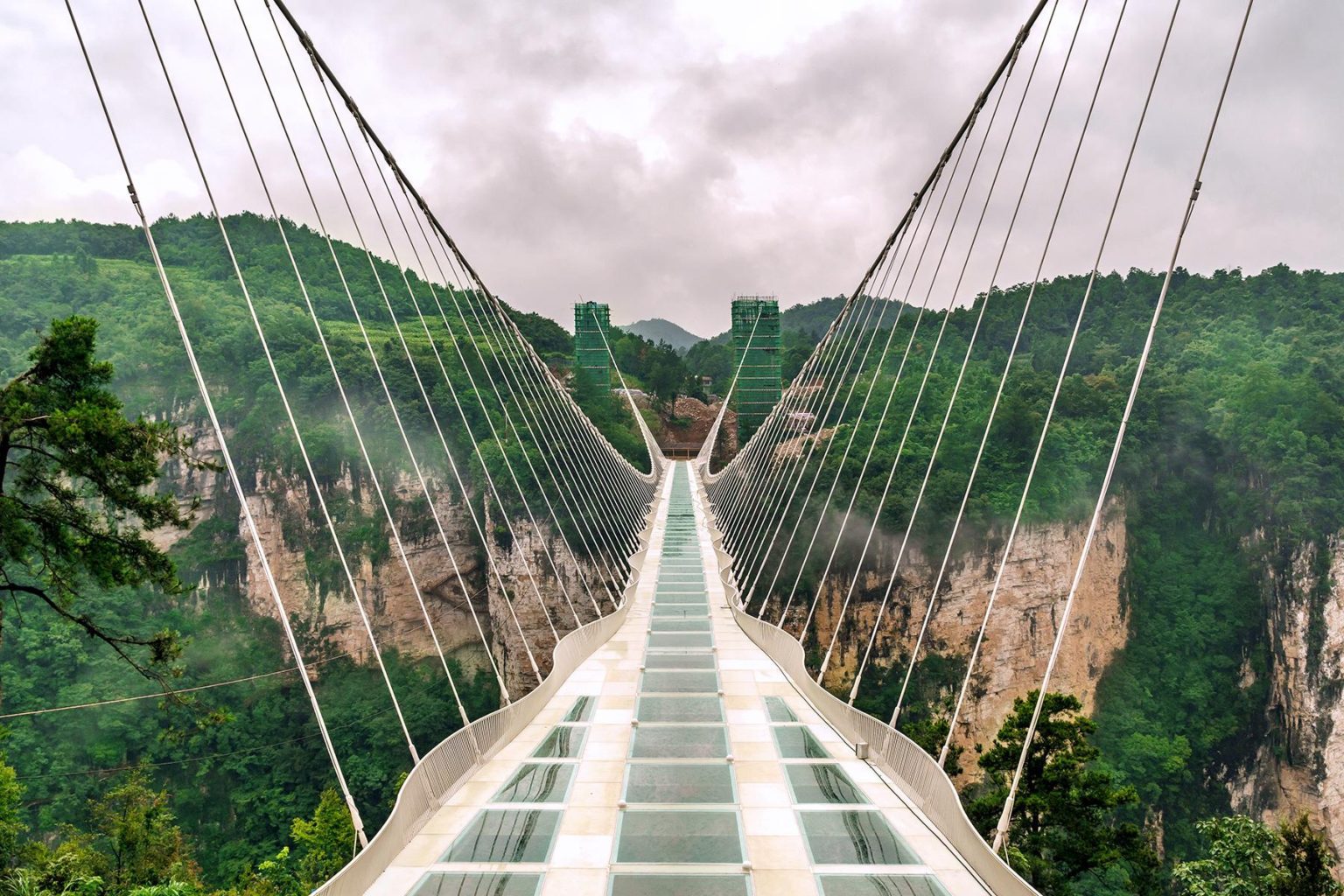 Advantages and Disadvantages of Suspension Bridges Structural Guide